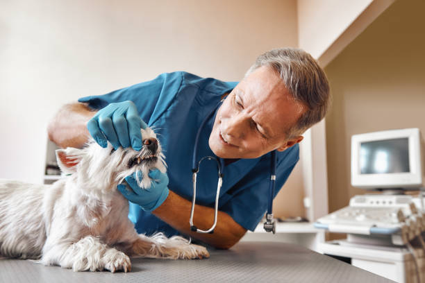 Best Weekend Emergency Dentist in West Deland, FL